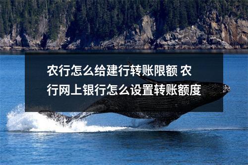 农行怎么给建行转账限额 农行网上银行怎么设置转账额度