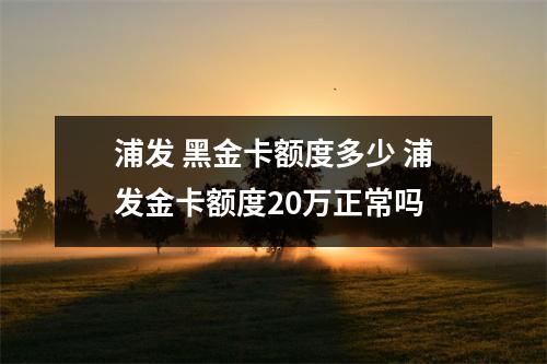 浦发 黑金卡额度多少 浦发金卡额度20万正常吗
