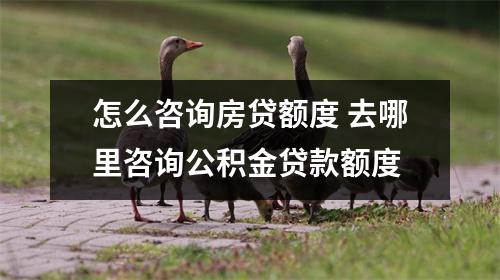 怎么咨询房贷额度 去哪里咨询公积金贷款额度