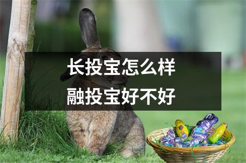 长投宝怎么样 融投宝好不好