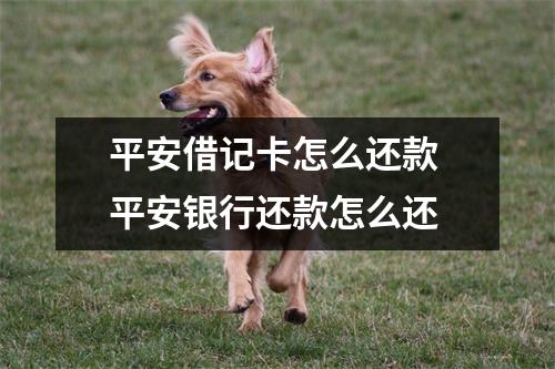 平安借记卡怎么还款 平安银行还款怎么还