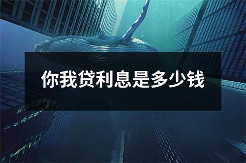 你我贷利息是多少钱