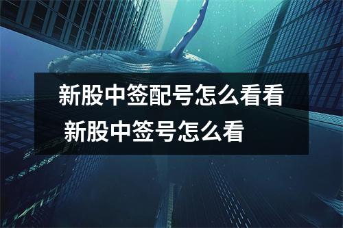 新股中签配号怎么看看 新股中签号怎么看