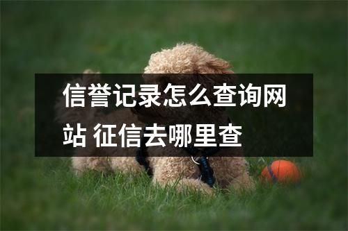 信誉记录怎么查询网站 征信去哪里查