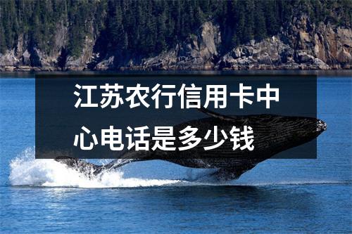 江苏农行信用卡中心电话是多少钱
