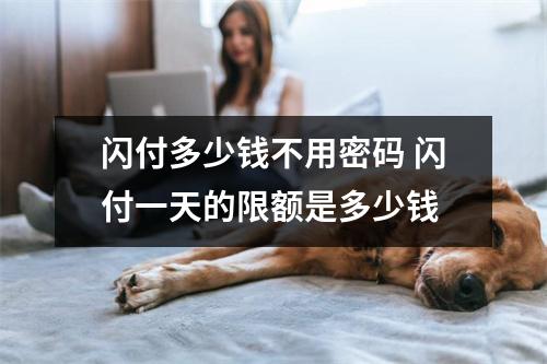 闪付多少钱不用密码 闪付一天的限额是多少钱