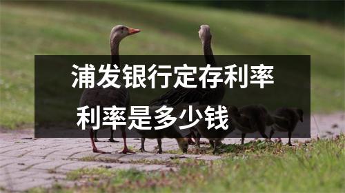 浦发银行定存利率 利率是多少钱