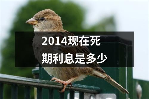 2014现在死期利息是多少
