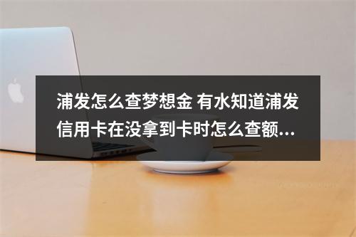 浦发怎么查梦想金 有水知道浦发信用卡在没拿到卡时怎么查额度