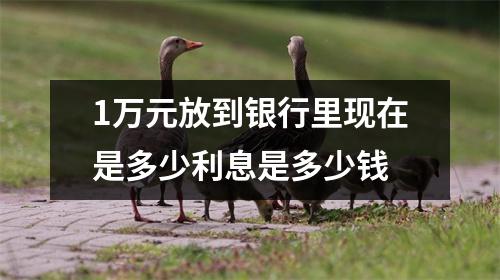 1万元放到银行里现在是多少利息是多少钱
