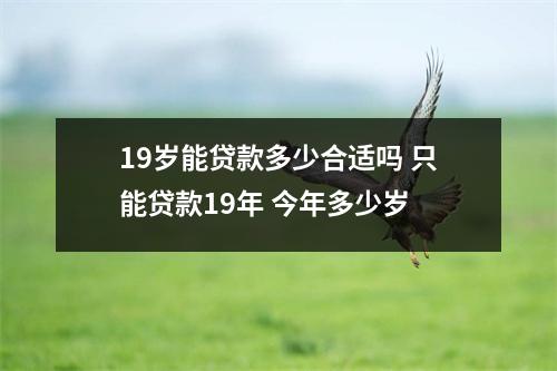 19岁能贷款多少合适吗 只能贷款19年 今年多少岁