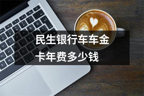 民生银行车车金卡年费多少钱
