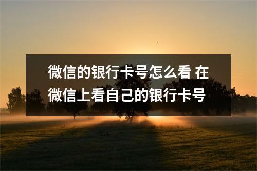 微信的银行卡号怎么看 在微信上看自己的银行卡号