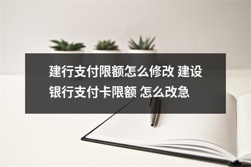 建行支付限额怎么修改 建设银行支付卡限额 怎么改急