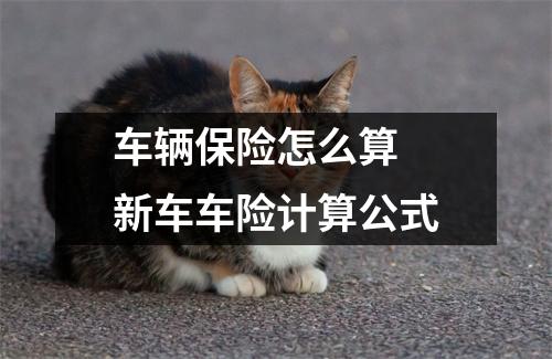 车辆保险怎么算 新车车险计算公式