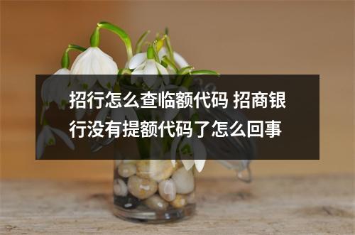 招行怎么查临额代码 招商银行没有提额代码了怎么回事