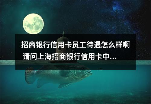 招商银行信用卡员工待遇怎么样啊 请问上海招商银行信用卡中心待遇如何