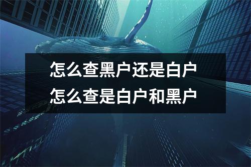 怎么查黑户还是白户 怎么查是白户和黑户
