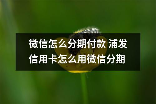 微信怎么分期付款 浦发信用卡怎么用微信分期