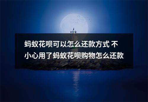 蚂蚁花呗可以怎么还款方式 不小心用了蚂蚁花呗购物怎么还款