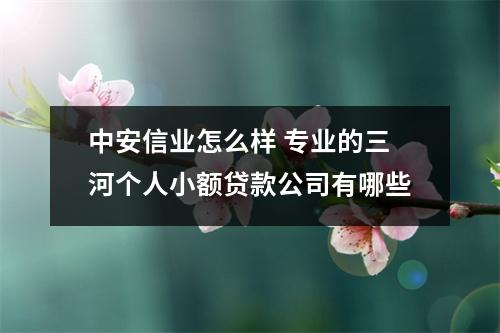 中安信业怎么样 专业的三河个人小额贷款公司有哪些