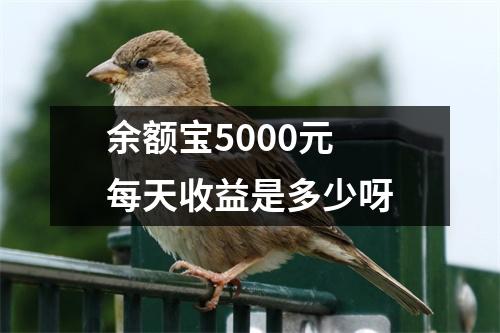 余额宝5000元 每天收益是多少呀