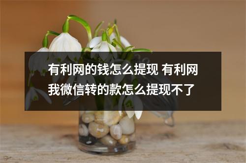 有利网的钱怎么提现 有利网我微信转的款怎么提现不了