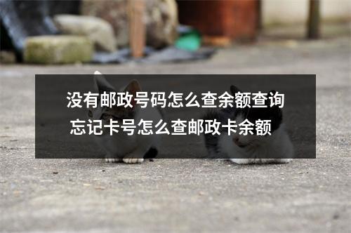 没有邮政号码怎么查余额查询 忘记卡号怎么查邮政卡余额