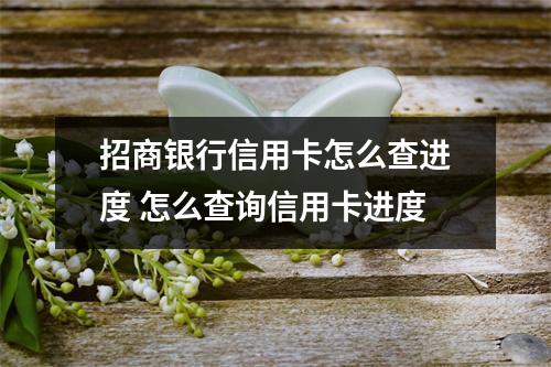 招商银行信用卡怎么查进度 怎么查询信用卡进度