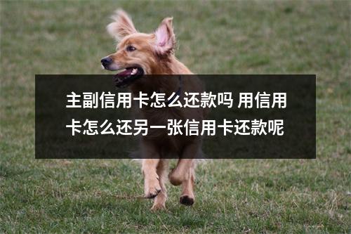 主副信用卡怎么还款吗 用信用卡怎么还另一张信用卡还款呢