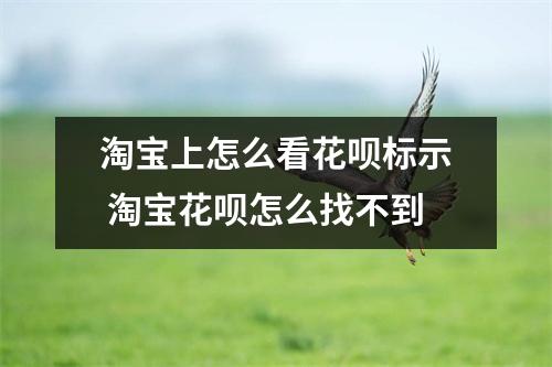 淘宝上怎么看花呗标示 淘宝花呗怎么找不到