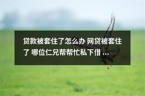 贷款被套住了怎么办 网贷被套住了 哪位仁兄帮帮忙私下借 每月还 不想在陷入网贷了