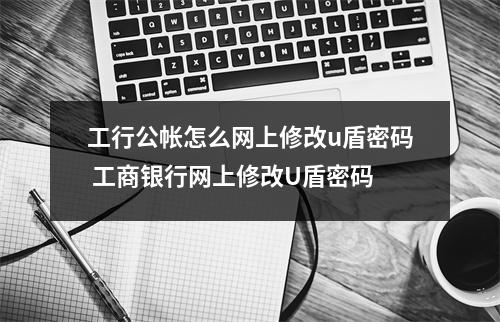 工行公帐怎么网上修改u盾密码 工商银行网上修改U盾密码