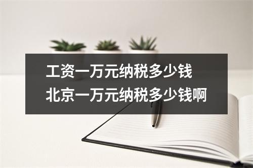 工资一万元纳税多少钱 北京一万元纳税多少钱啊