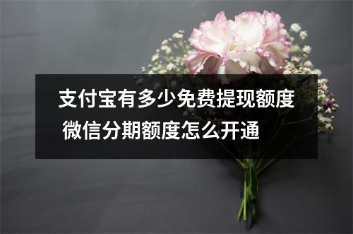 支付宝有多少免费提现额度 微信分期额度怎么开通