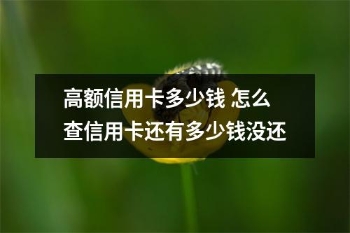 高额信用卡多少钱 怎么查信用卡还有多少钱没还