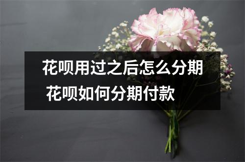 花呗用过之后怎么分期 花呗如何分期付款