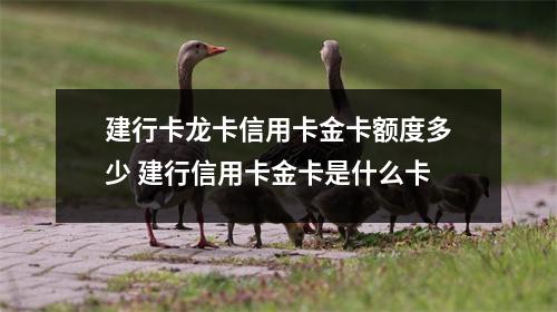 建行卡龙卡信用卡金卡额度多少 建行信用卡金卡是什么卡