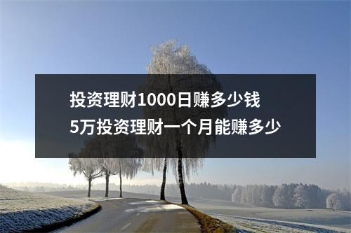 投资理财1000日赚多少钱 5万投资理财一个月能赚多少