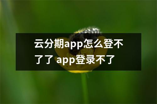 云分期app怎么登不了了 app登录不了