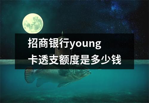 招商银行young卡透支额度是多少钱
