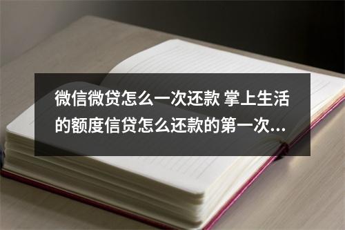 微信微贷怎么一次还款 掌上生活的额度信贷怎么还款的第一次用着急不知道怎么还