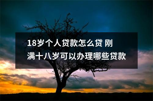 18岁个人贷款怎么贷 刚满十八岁可以办理哪些贷款
