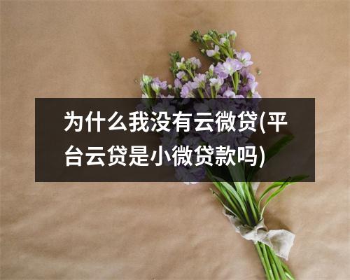 为什么我没有云微贷(平台云贷是小微贷款吗)