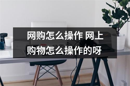 网购怎么操作 网上购物怎么操作的呀