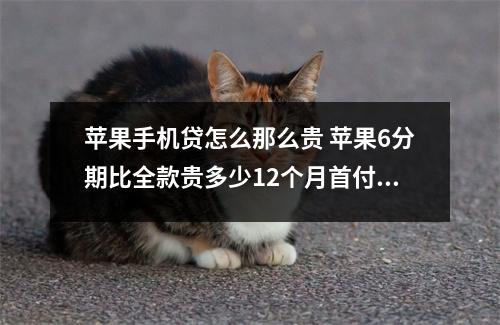 苹果手机贷怎么那么贵 苹果6分期比全款贵多少12个月首付2000