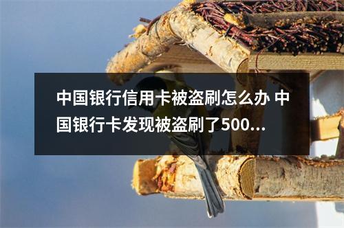 中国银行信用卡被盗刷怎么办 中国银行卡发现被盗刷了500多怎么办