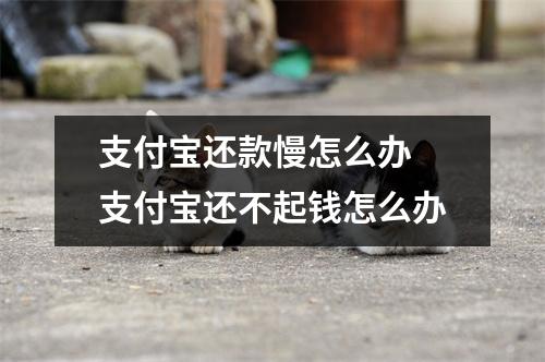 支付宝还款慢怎么办 支付宝还不起钱怎么办