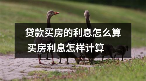 贷款买房的利息怎么算 买房利息怎样计算