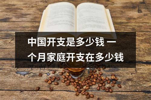 中国开支是多少钱 一个月家庭开支在多少钱